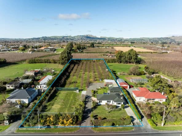Boundary lines 934 riverslea road south drone 4 copy with indicative boundary lines[2]