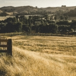 lifestyle properties for sale hawkes bay