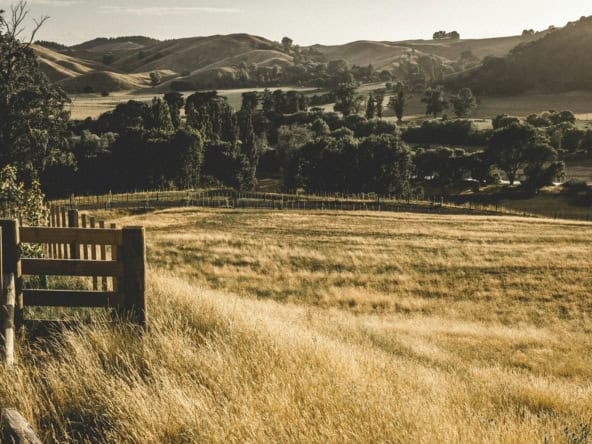 lifestyle properties for sale hawkes bay